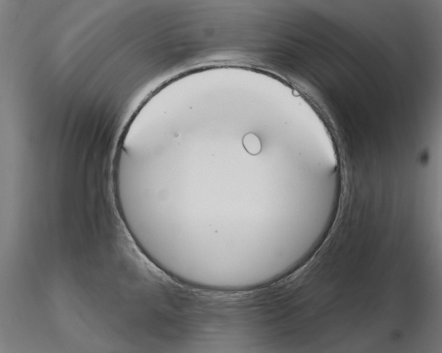 X0000115241288200912111046