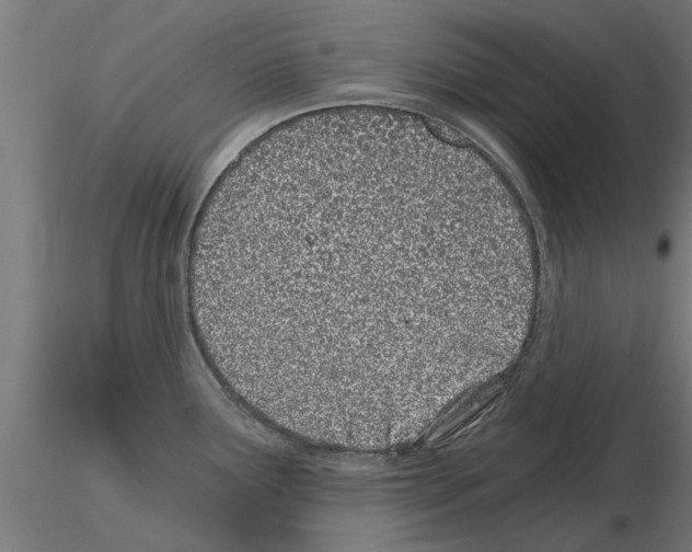 X0000115241291200912111045