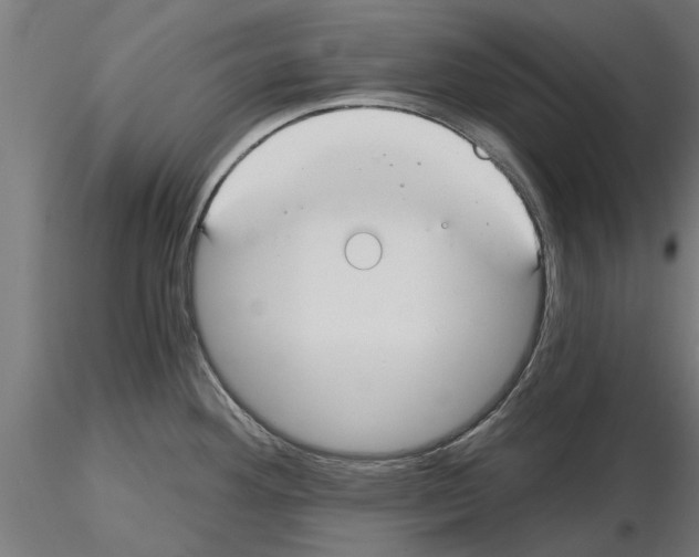 X0000115241292200912111045