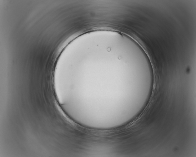 X0000115241293200912111045