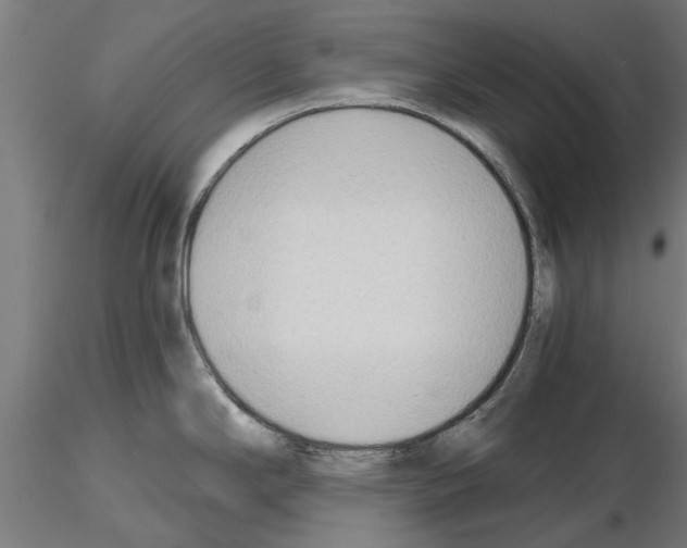 X0000115241294200912111045