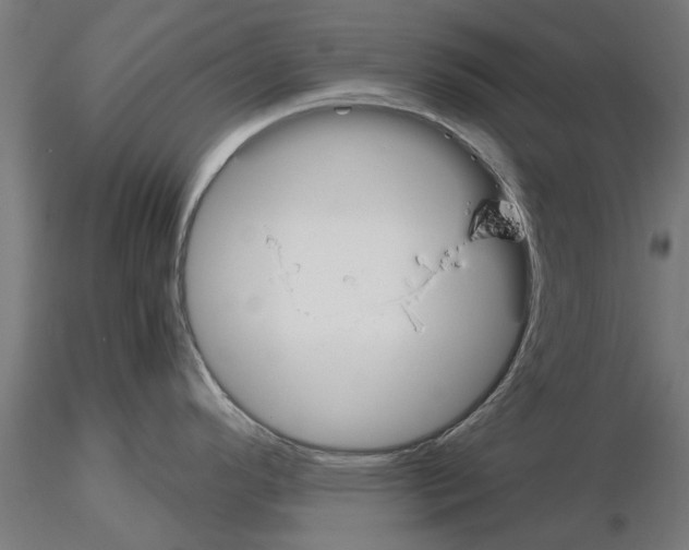 X0000115241296200912111045