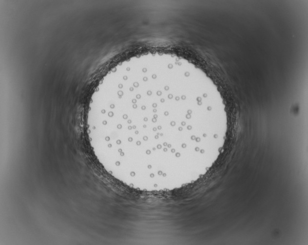 X0000115241301200912111045