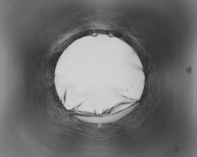 X0000115241303200912111045