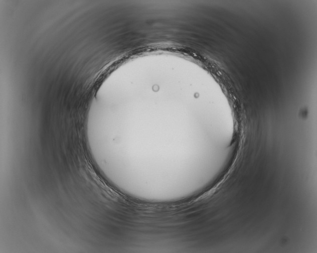 X0000115241305200912111045