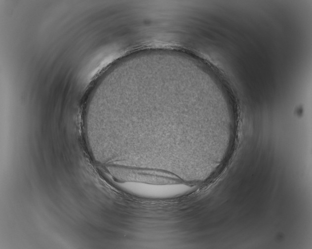 X0000115241306200912111045