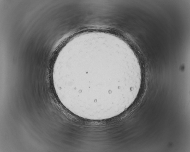 X0000115241307200912111045