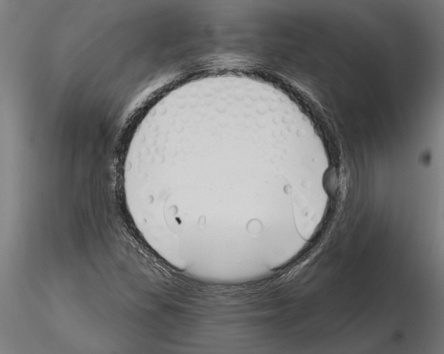 X0000115241309200912111045