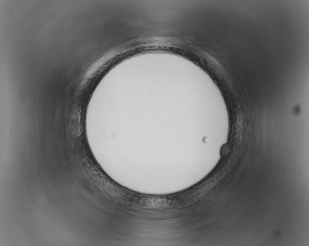 X0000115241310200912111045