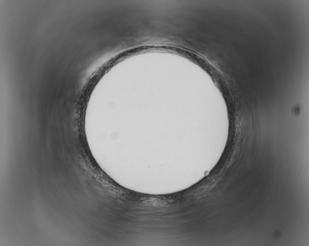 X0000115241311200912111045