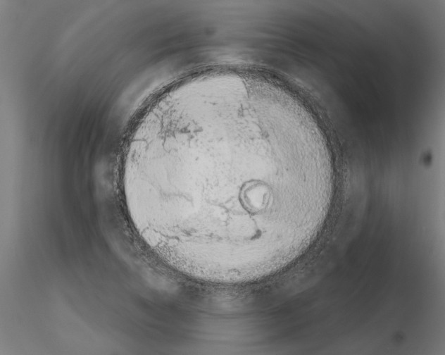 X0000115241314200912111045