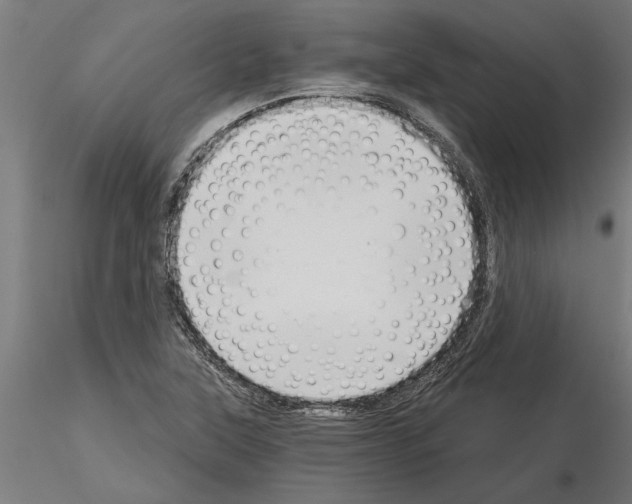 X0000115241315200912111045