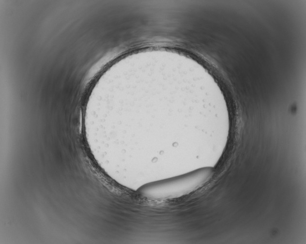 X0000115241317200912111045