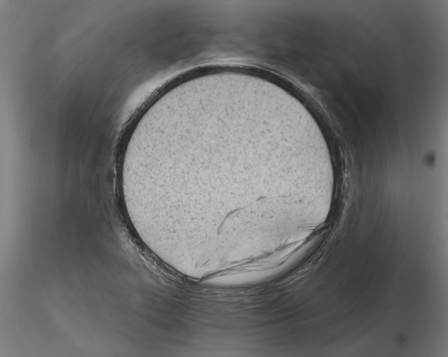 X0000115241319200912111045