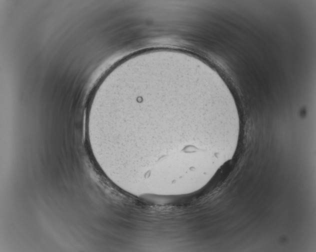 X0000115241323200912111045