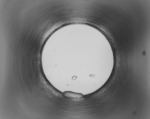 X0000115241325200912111045