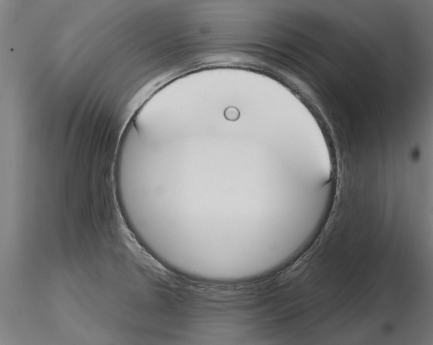 X0000115241330200912111045