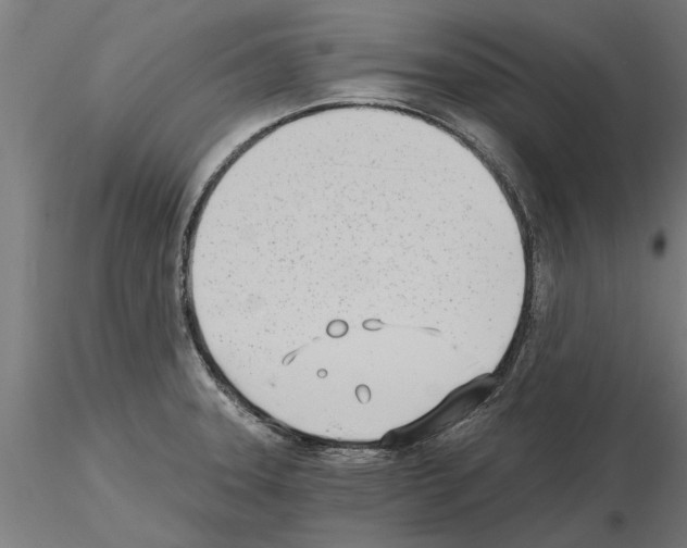 X0000115241331200912111045