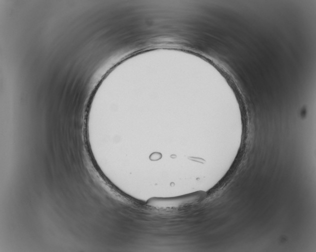 X0000115241333200912111045