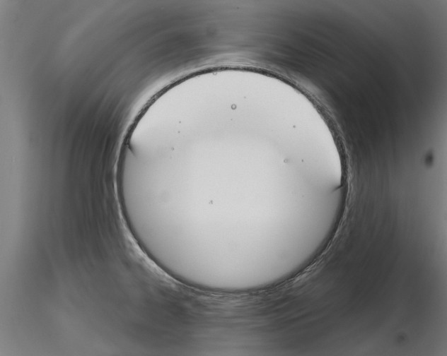 X0000115241334200912111045