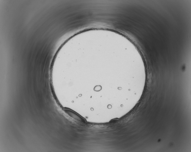 X0000115241335200912111045