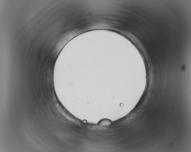 X0000115241337200912111045