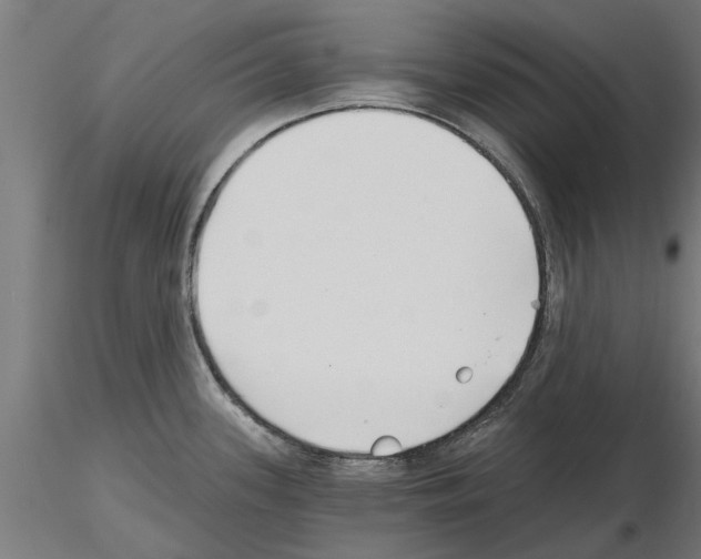 X0000115241339200912111045