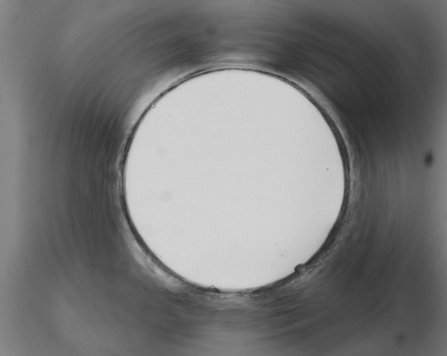 X0000115241341200912111045