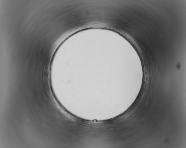 X0000115241343200912111045