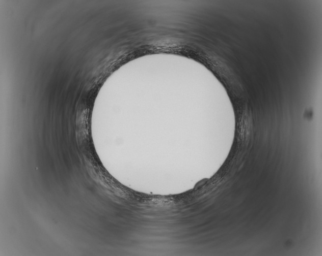 X0000115241346200912111045