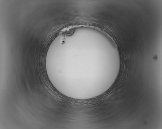 X0000115241348200912111045