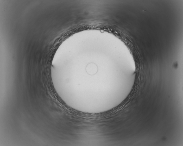 X0000115241349200912111045