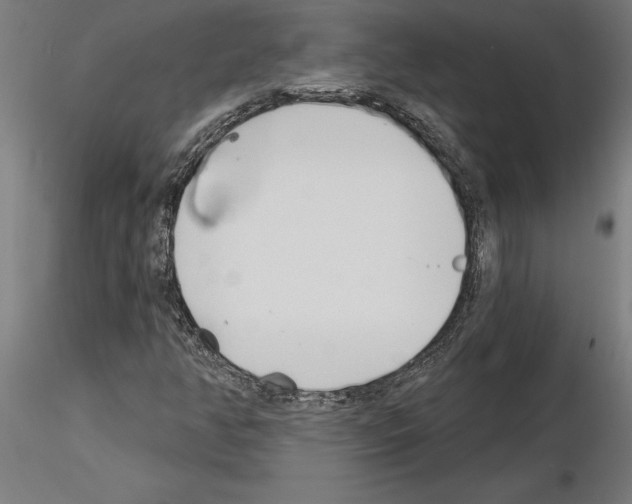 X0000115241350200912111045