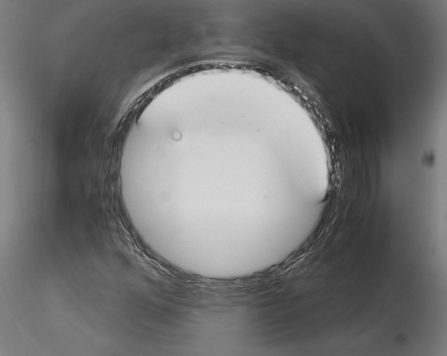 X0000115241352200912111045