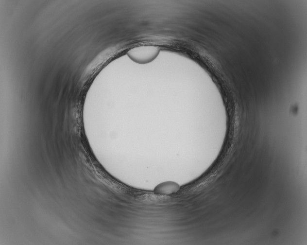 X0000115241354200912111045