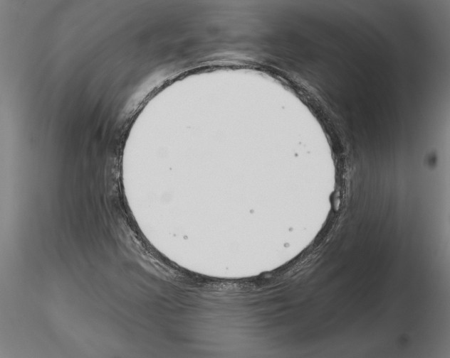 X0000115241355200912111045