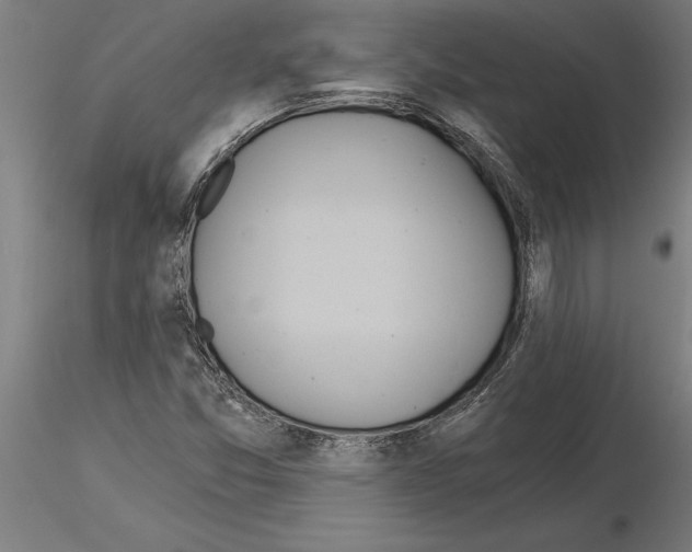 X0000115241357200912111045