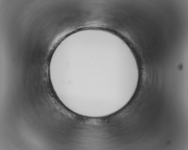 X0000115241358200912111045