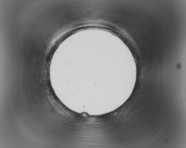 X0000115241360200912111045