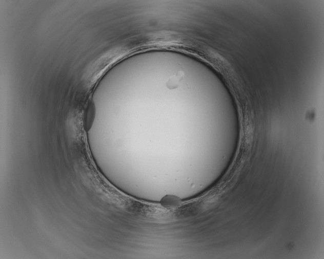 X0000115241361200912111045