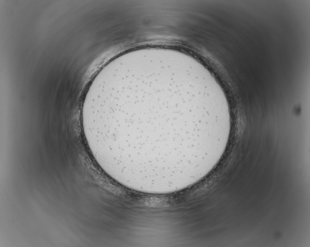 X0000115241362200912111045