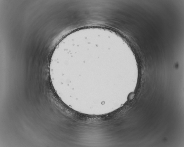 X0000115241363200912111045