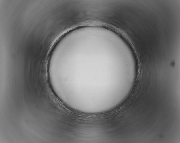 X0000115241364200912111044