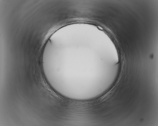 X0000115241365200912111044