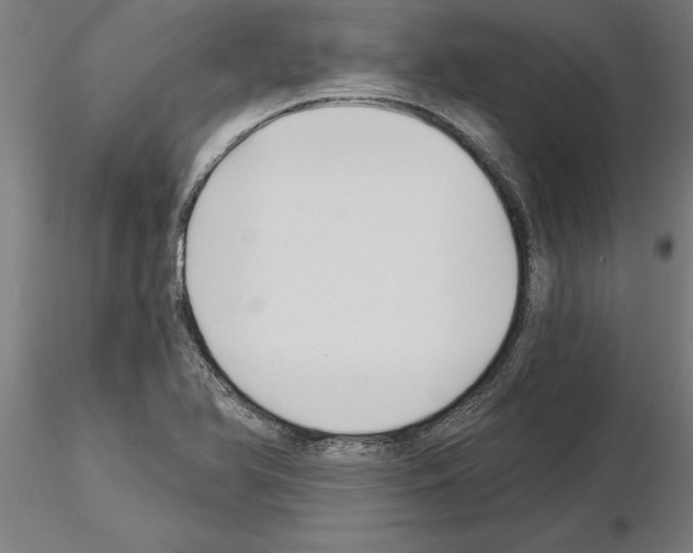 X0000115241366200912111044