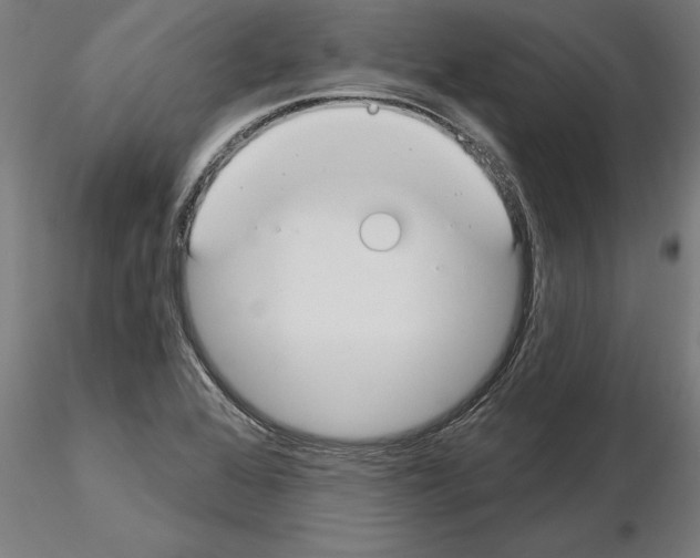 X0000115241368200912111044