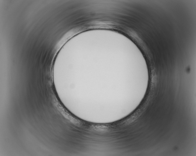 X0000115241370200912111044