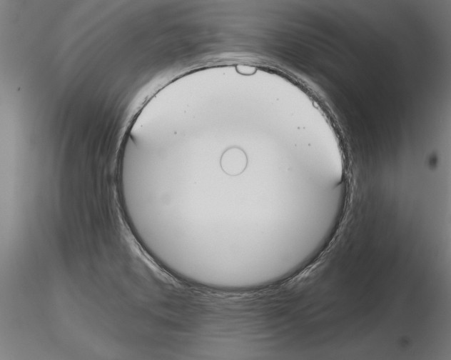 X0000115241373200912111044