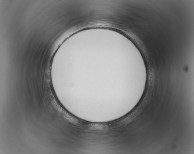 X0000115241374200912111044