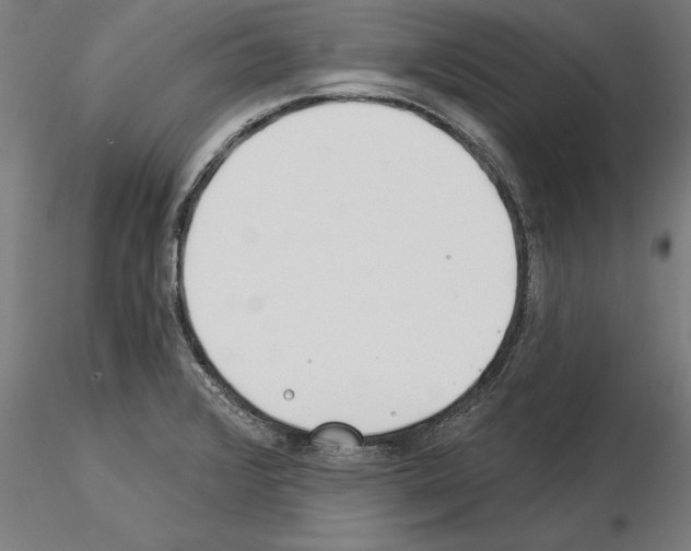 X0000115241376200912111044